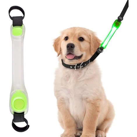 Leuchtendes Hundehalsband, per USB wiederaufladbares LED-Hundehalsband mit Nylon-Klebestreifen, einfach an Hundehalsband, Leine und Geschirr zu befestigen (1/5)