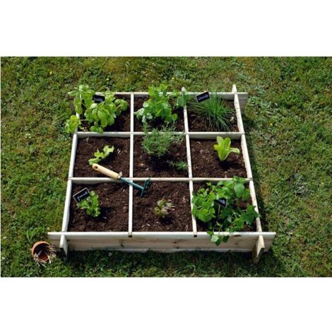 Carre Potager Cardon100 Cl3 (1/2)