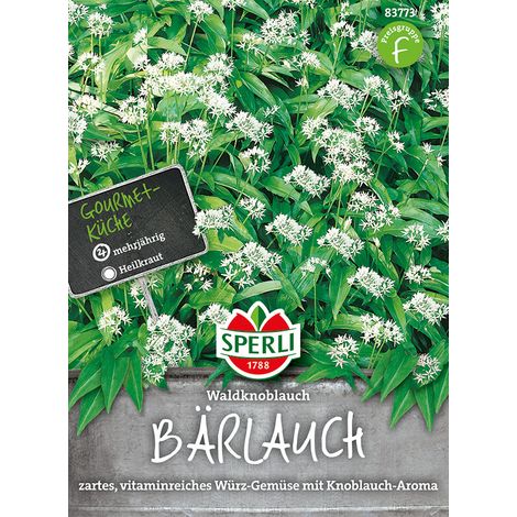 Sperli – Ail des ours – Graines d'herbes aromatiques, vivace, fleurs blanches, 30 cm (1/2)