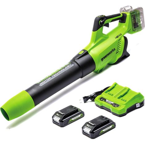 Greenworks 48V(2x24V) Soffiatore Foglie Assiale a Batteria con Motore Brushless, Funzione Turbo, 217km/h, 16,4m³/min, CON 2 Batterie 24V 2Ah e Caricabatterie, Garanzia 3 Anni GD24X2ABK2X (1/4)