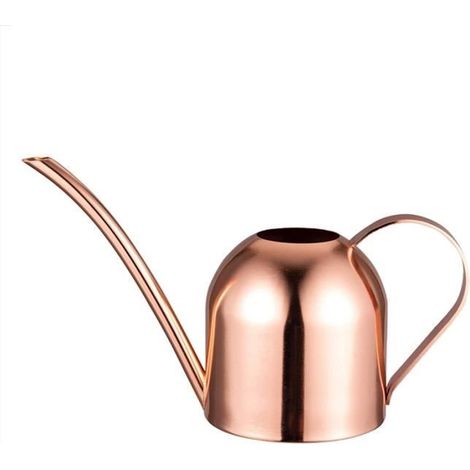 Arrosoir en acier inoxydable 33 Oz-1000 Ml avec bec long pour les plantes d'intérieur - Rose (1/3)