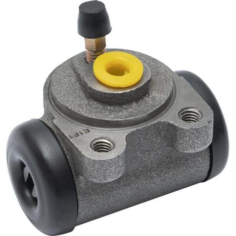 Cilindro principal 600F105700 GOLDONI 00005200 (1/5)