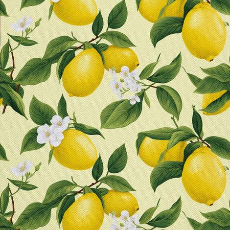 Tela decorativa para exteriores Oxford - Motivo frutal  DX6944 (1/5)