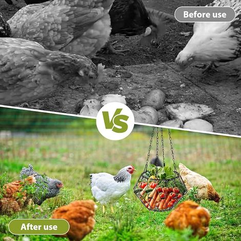 Distributeur automatique de nourriture pour poulets 11,5 kg – Grand distributeur de nourriture pour poules, canards, volailles avec couvercle, support mural et accessoires pour poules (1/4)