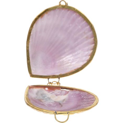 Small Seashell Jewelry Box in Delicate Shell for Storing and Displaying Rings and Earrings, for Birthdays and Elegant Gifts, Color: Color (1/5)