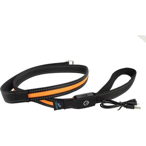 laisse lumineuse led - Fidelami (1/5)