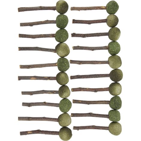 20 bâtonnets à mâcher pour lapins, boules d'herbe en bois, bâtonnets à mordiller pour petits animaux (hamsters, cochons d'Inde) (1/5)