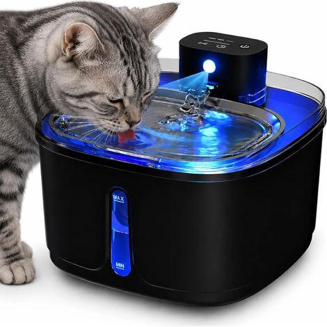 Fontaine à Eau pour Chat sans Fil 3,2L, Batterie Rechargeable 4000mAh, Détection de Mouvement, Pompe Silencieuse, Distributeur d’Eau Automatique pour Chats et Petits Chiens, 1 Filtres Inclus (1/5)
