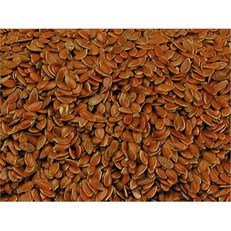 Graines de lin 4 kg