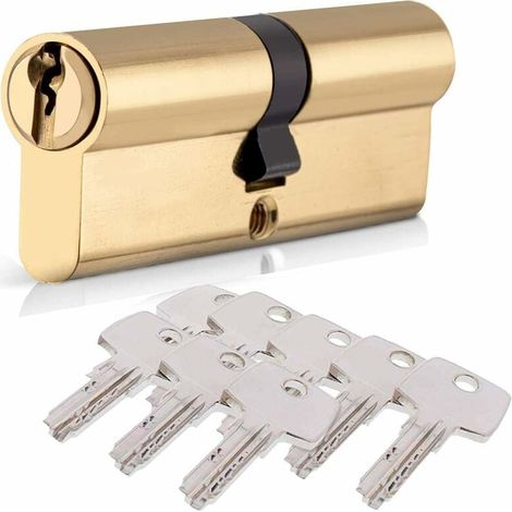 Cylindre de Serrure 40/40 (80mm), HOMEK Serrure à Doublé Cylindre Porte Cylindre Européen avec 8 Clés, Finition en Laiton, Serrure de Porte Antichoc Anti-Perçage Anti-Pique (1/5)