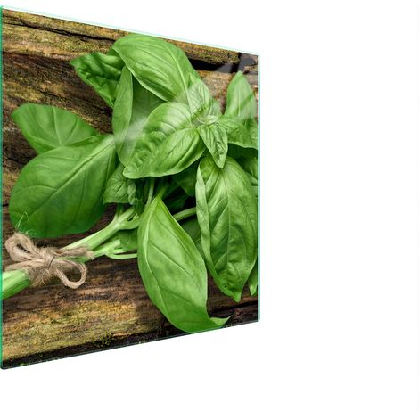 PLACA PROTECTORA DE VIDRIO PARA ESTUFA 50x52 BASIL (1/5)