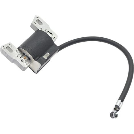 Brigg & Stratton Bobina elettronica Quantum Power ultimi modelli 126T (1/3)