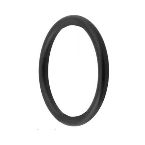Zubehoer Isiflo O-Ring 195 16mm