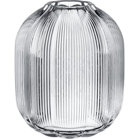 Vase Transparent, résistant au Lave-Vaisselle, soufflé à la Bouche, Fait Main, décoratif pour Fleurs, Design Floral élégant, déco Appartement, Verre (1/5)