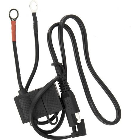 Câble oeillet pour Chargeur de Batterie ACCUB02 ACCUB03 et ACCUBAT3