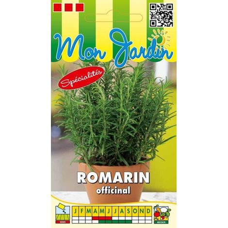 Romarin Officinal - 0,1g