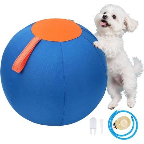 Ballon géant 63 cm pour chien – Jouet interactif résistant – Extérieur, jardin, parc – Anti-éclatement (1/5)