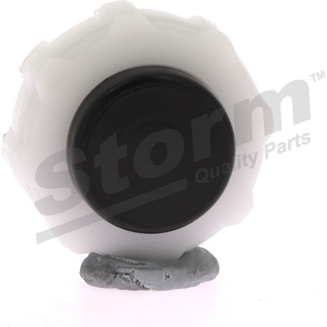 Bouchon de vase d’expansion compatible Alpine, Renault 7700805031 (1/4)