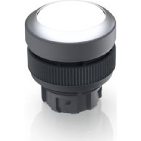 RAFI 1.30.240.021/1000 RAFIX 22 QR Pulsante illuminato Momentaneo (L x L x A) 29.8 x 29.8 x 32.3 mm 1 pz.
