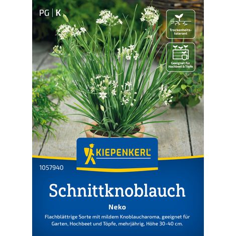 Kiepenkerl Saatgut Schnittknoblauch Neko für ca. 100 Pflanzen