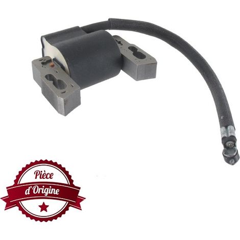 Bobine d'allumage BRIGGS ET STRATTON 592445 (1/2)