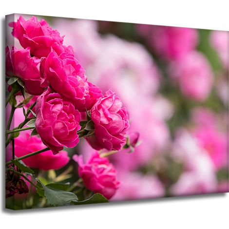 Leinwanddruck „Botanische rosa Rosen“, 40 x 30 cm