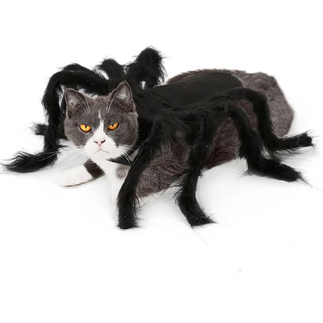 Costume d'Halloween Effrayant pour Chien et Chat en Forme d'Araignée