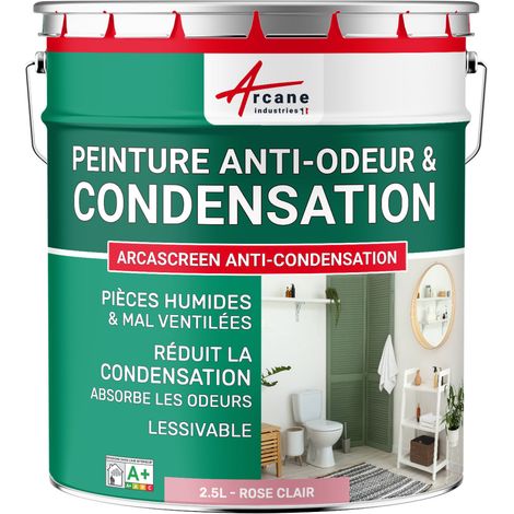 Peinture anti condensation, anti odeur, moisissure - 2.5 L Rose Clair - RAL 3015 - ARCANE INDUSTRIES