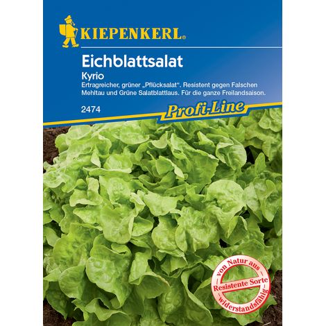 Eichblattsalat Preisgruppe N (1/3)