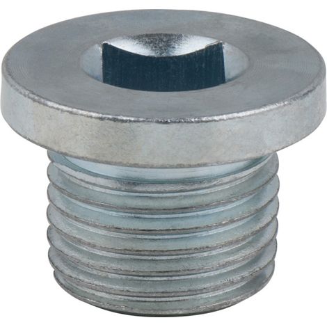 Vis de vidange, carré 4 pans 8mm, M16x1,5x13mm, pack de 25, 16 mm 25 pièces