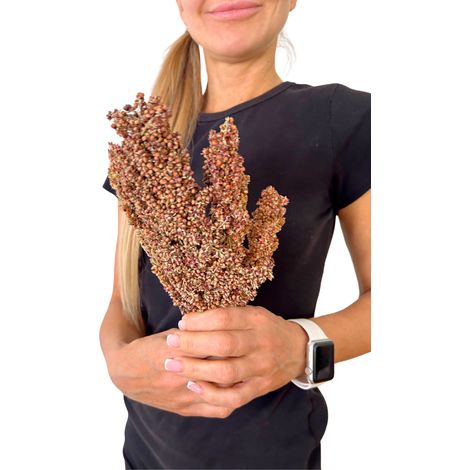 JR FARM Dari-Ohren zum Knabbern für alle Papageien 100g (1/5)