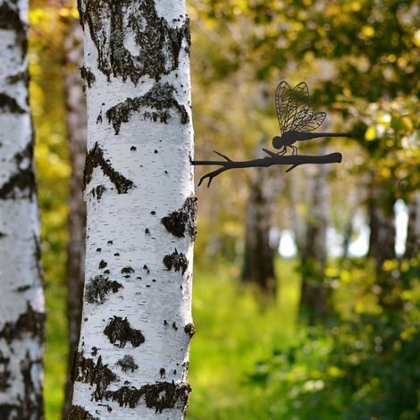 Silhouette de libellule en métal pour arbre – Décoration de jardin – Art extérieur résistant –Tuteur décoratif en métal pour arbres et jardinières (1/5)