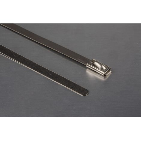 Serre-câble RS PRO Métallique en Acier Inoxydable 316, 200mm x 4,6 mm ( Prix pour Sachet de 100 ) (1/3)