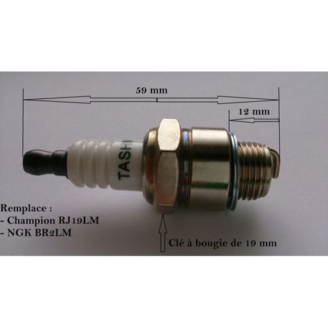 – Bougie d'allumage pour moteur Briggs Stratton – Remplace NGK BR2LM et Champion RJ19LM – Allumage efficace pour moteurs 4 temps (1/2)