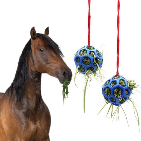 2 palline di fieno per cavalli e capre. Queste colorate palline di fieno riducono lo stress e prevengono la noia. (1/5)