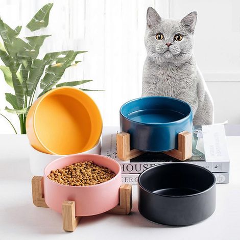 Gamelle inclinée de 15 pouces avec support pour chats - Gamelle inclinée anti-déversement - Nourriture plus facile d'accès (1/4)