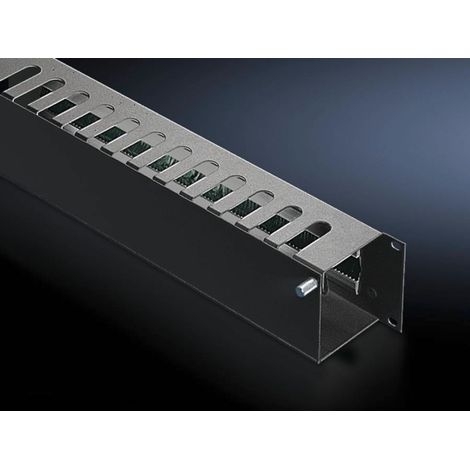 Rittal DK 5502.235 Pannello passacavi per server