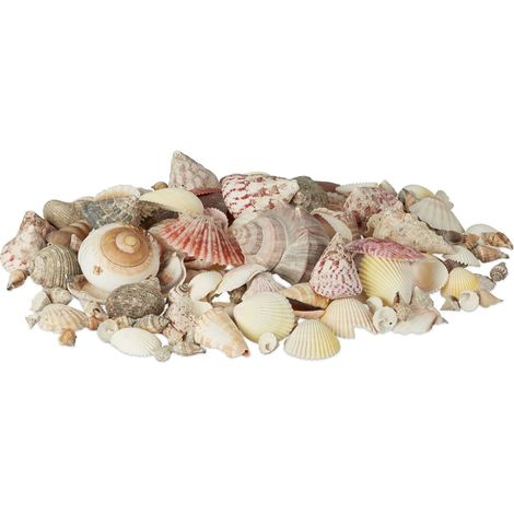 Relaxdays Muschel Deko im Set, Mix mit großen Meeresschnecken, Jakobsmuscheln, Stranddeko zum Basteln, maritim 1kg, bunt