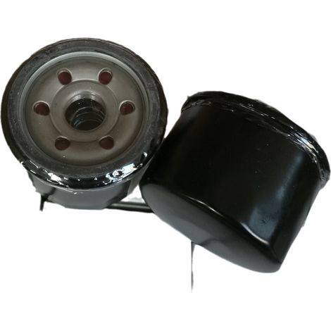 Filtre à Huile 220g pour Équipements Jardins et Espaces Vertes MTD-x