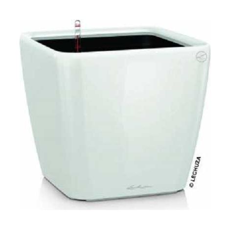LECHUZA QUADRO Premium LS 43 Komplettset weiß hochglanz