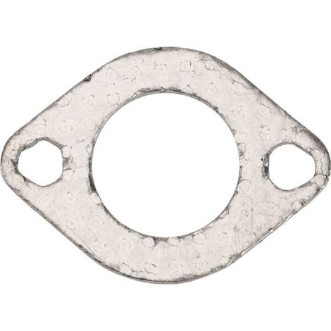 Joint BRIGGS ET STRATTON 691893