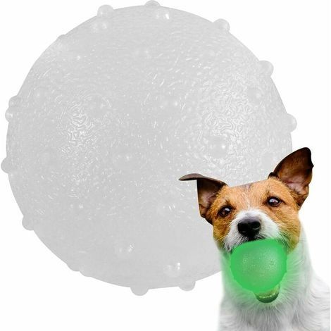Boule Pour Chien Lumineuse Balle Pour Chien Interactive De Nuit Balle De Jouet Pour Chien À Rapporter Brillant Ballon D'Exercice Grinçant Pour Chien Animal De Compagnie Chiot Jouer Chasser (1/5)