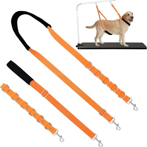 Sangle toilettage chien réglable en nylon – fixation sécurisée orange