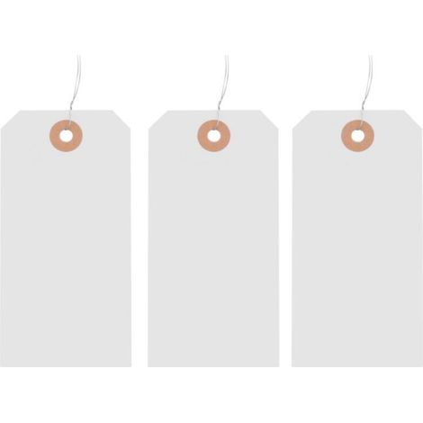 125 etiquetas de precio con ojal y reverso reforzado, etiquetas de cartón metalizado preensambladas para marcar precios, 12 x 6 cm