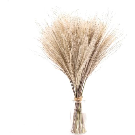 Lot de 30 phragmites artificiels séchés de 40 cm, style bohème, pour vases et bouquets de fleurs blanches (mariage).-AquaForge (1/5)
