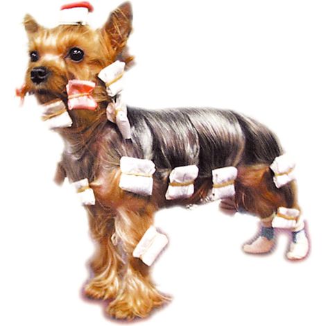Papillotes pour chien Couleur : Blanc