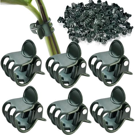 Confezione da 100 clip per piante, clip per orchidee, clip di supporto per piante e clip per rampicanti, ideali per sostenere steli, viti e piante rampicanti e favorirne la crescita verticale. (1/5)