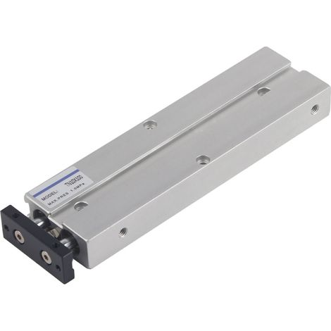 Vérin pneumatique TN10 à double tige et double effet, composants pneumatiques 100 (1/5)