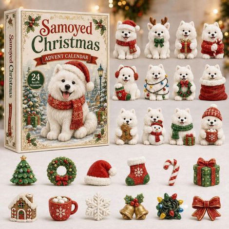 Samoyède de Noël calendrier avent 2026 2D boîte surprise