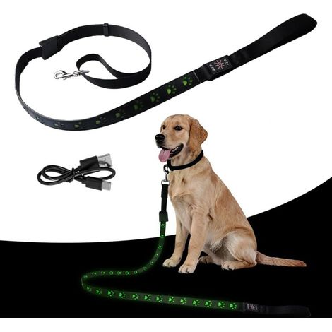 Laisse pour chien à LED de 1,2 m - Rechargeable par USB - Réfléchissante - Convient pour les grands animaux de compagnie de taille moyenne et petite - Vert (1/5)